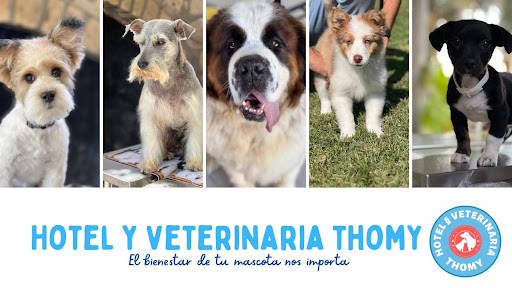 Hotel y veterinaria thomy