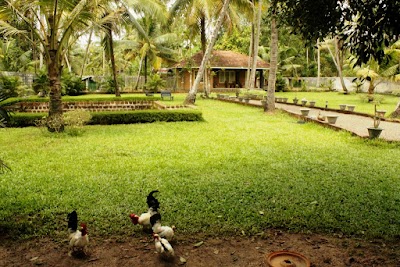 Photos of Atmaja Farm