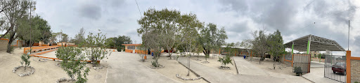 Escuela Primaria Camilo Arriaga - Thumbnail