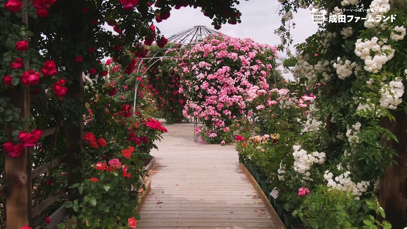 成田ファームランド