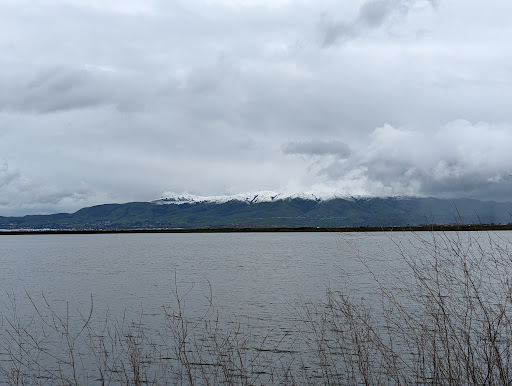 Sunnyvale Industrial Wastewater - Thumbnail