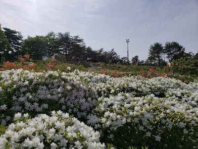 寒河江公園つつじ園 展望広場 Park Nishimurayama Gun Yamagata