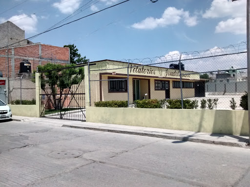 Velatorios Guadalupana