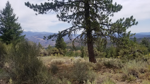 Fall Mountain Lookout Tower - Thumbnail