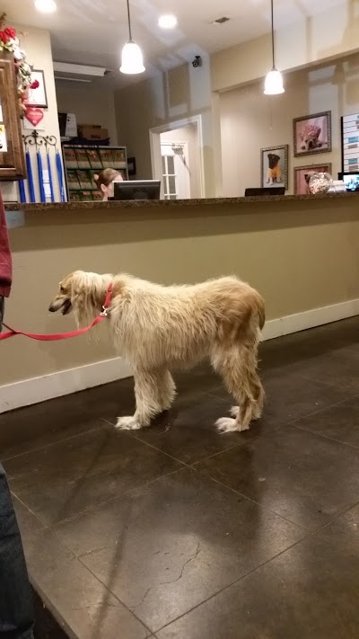 Photos of Creekside Pet Care Center
