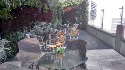 Photos of Suzette express
