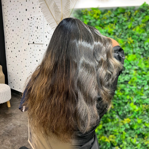 SJ House of Hair - United States