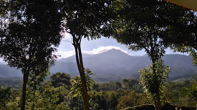 Photos of Hotel Bermi Pemai