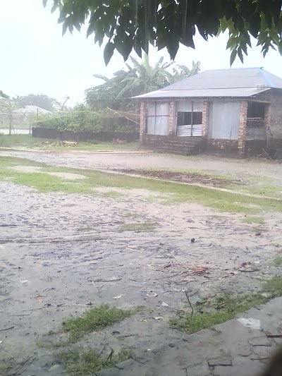 Photos of বারআড়িয়া সার্বজনীন দূর্গা মন্দির