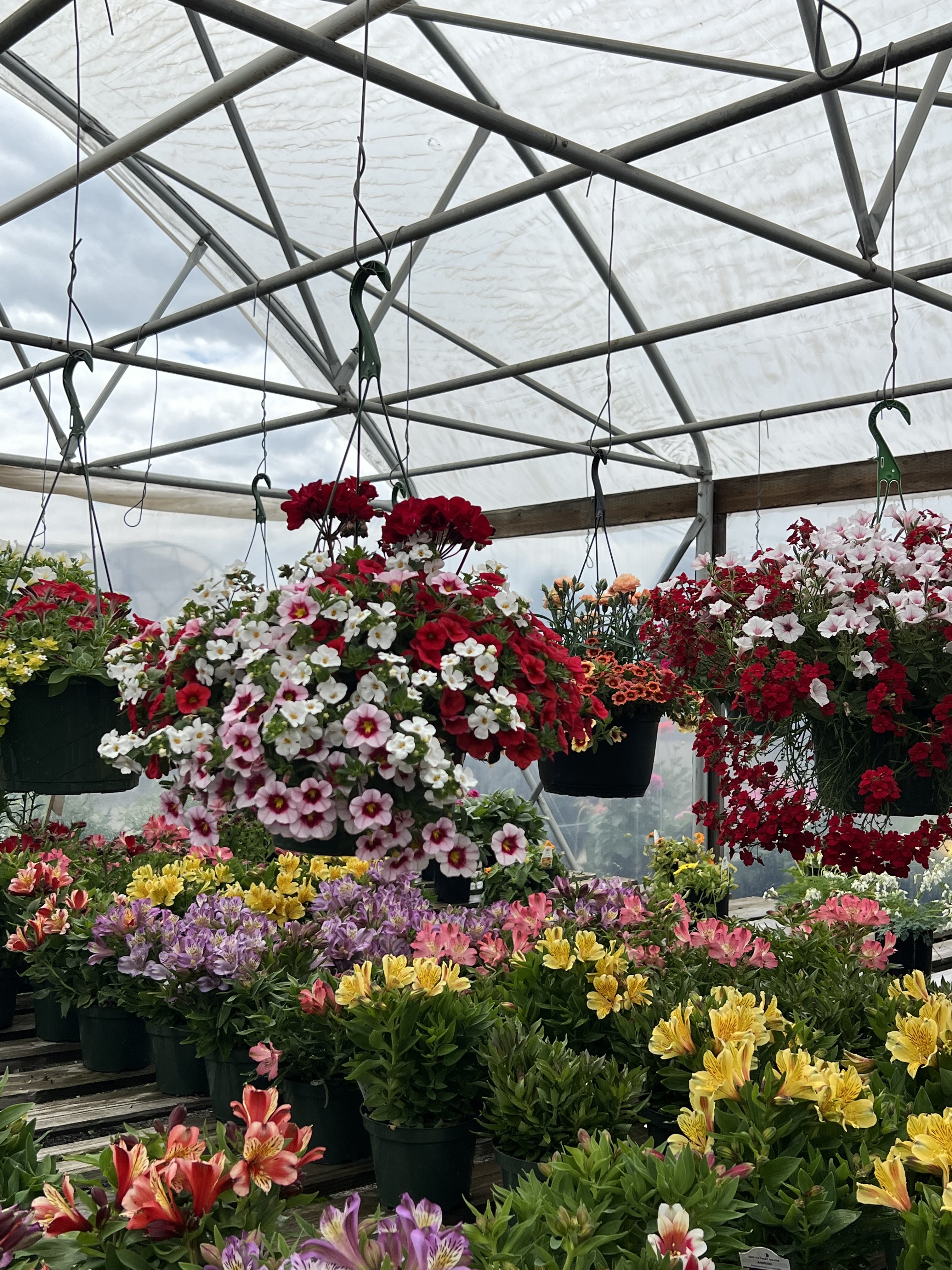 S & K Nursery