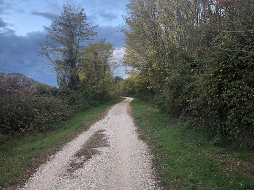 Itinerario turistico ciclopedonale Le Macee - Bibbiena Stazione - Corsalone - Rassina - Thumbnail