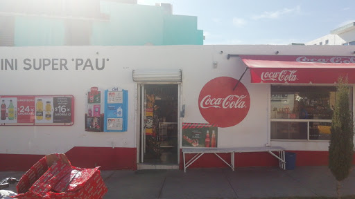 Abarrotes Mini Super Pau