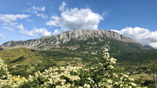 SeeIsnello - Visual