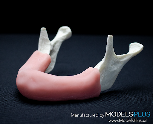 Models Plus, LLC - Visual