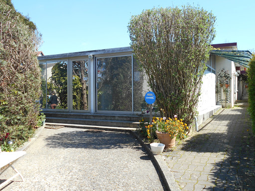 Ecole Kinésiologie et Méthodes Associées - Thumbnail
