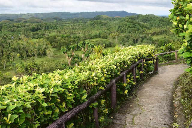 Chocolate Hills Travel & Tours