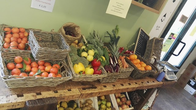 ORTO ZERO bar e tavola calda