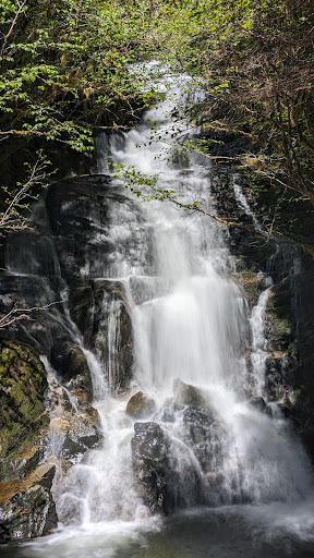Rainbow Falls - Visual
