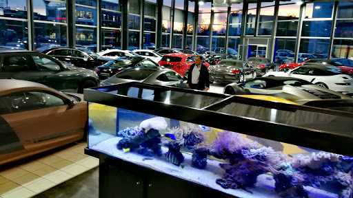 Autohaus Elegance Cologne E. K. - Thumbnail