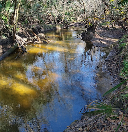 Alafia River Reserve