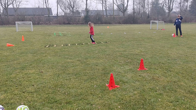 Anmeldelser af Maribo Boldklub i Maribo - Sportskompleks