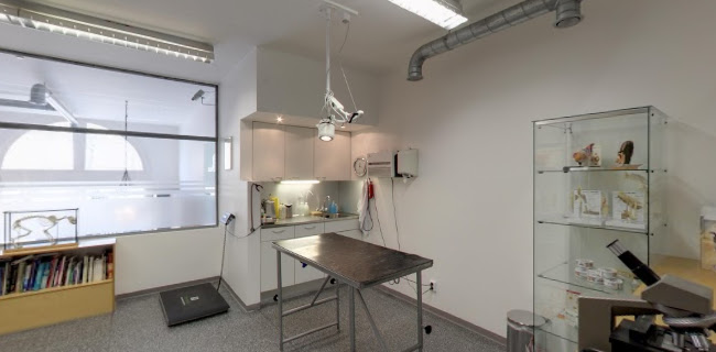 Caressa Dierenkliniek 76 - Amsterdam