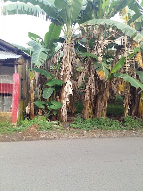 jln masjid al muhajirin cinangka, Author: Andi Lay