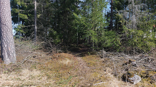 Prestegårdsskogen - Thumbnail