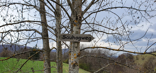 Albtrauf Pfullingen Gallery - Germany
