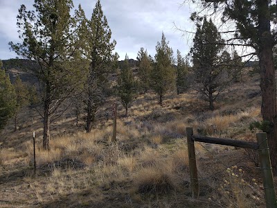 The Tam-a-lau Trail