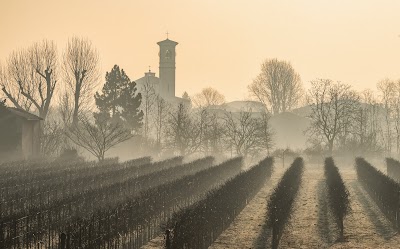 Parco San Colombano