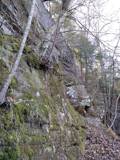 Brushy Lake Dam