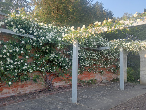 Orangery - Thumbnail