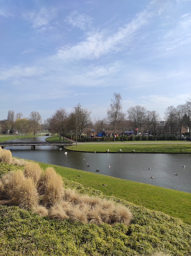 Valkeniersweg park Gallery - Netherlands