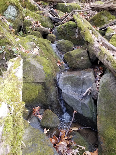 Lost Lake State Natural Area - Thumbnail