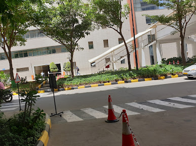 Af1qipownqx8hla U5nw5w3nxbfv Pr4pd3amo09yh5n=s387 K No