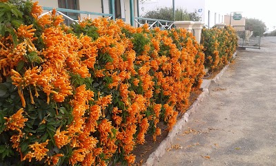 Photos of Huis Adriaann - Prince Albert