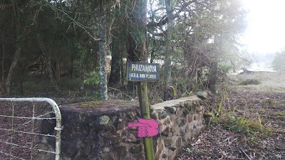 Photos of Phuzamoya farm