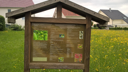 Nussbaum-Lehrpfad - Thumbnail