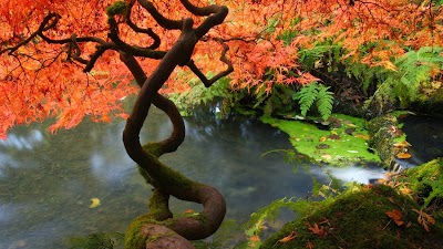 Photo of Transformational Acupuncture clinic location