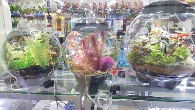 Photos of Hobbyist Pet Store