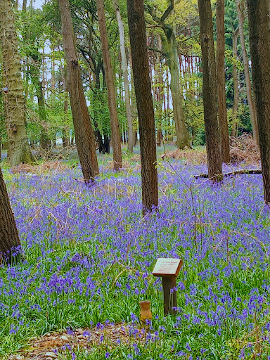 GreenAcres Epping Forest - Visual