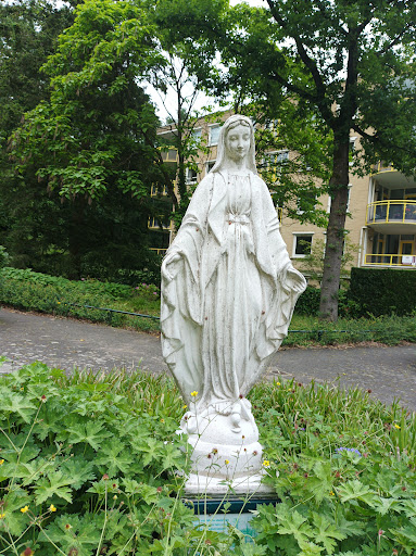 Driebergen-Centrum - Visual