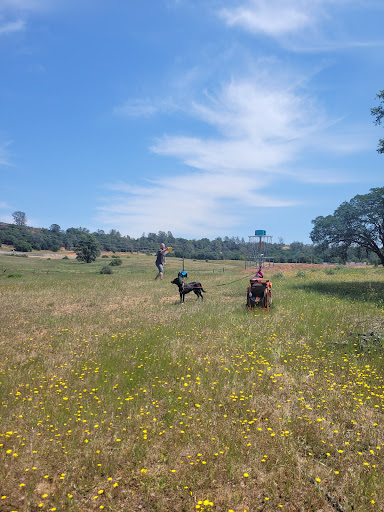 Charles Howard Park - Thumbnail