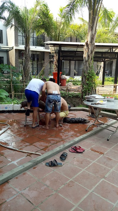Photos of Cobra2 Guesthouse
