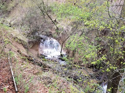 Smith Falls