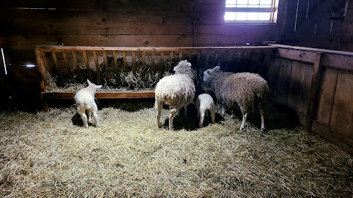 Riverdale Farm - Meeting House - Thumbnail