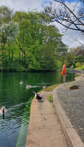 Rossmere Park - Visual