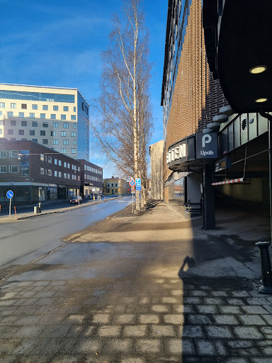 Parketten
