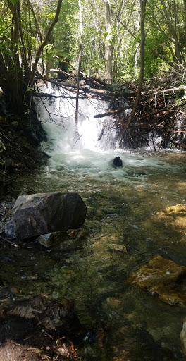 Centerville Canyon Trail Waterfalls - Thumbnail